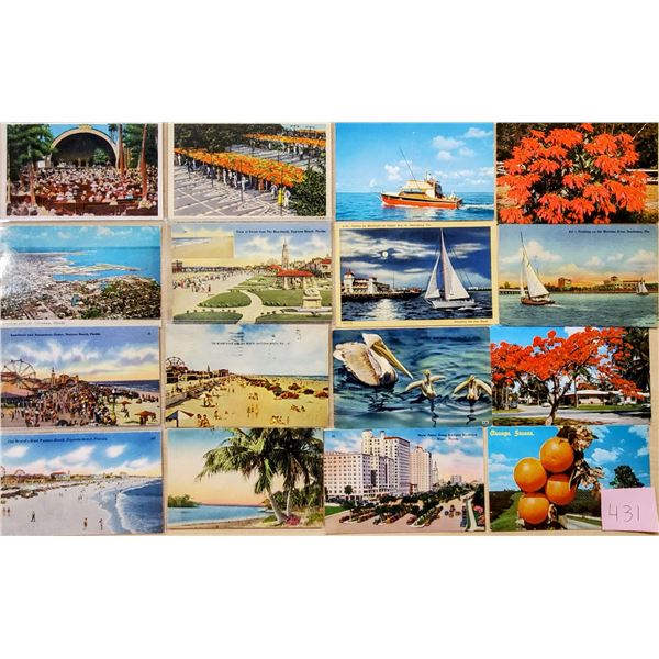 Florida Approx. 400 Postcards