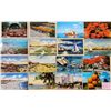 Image 1 : Florida Approx. 400 Postcards