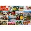 Image 2 : Florida Approx. 400 Postcards