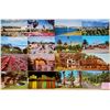 Image 11 : California Box of Approx. 900 Cards