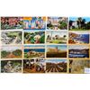 Image 11 : Sorted USA Box 600 Cards