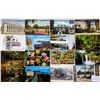 Image 1 : Sorted USA Box 550+ Postcards