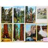 Image 1 : Yosemite, California National Park 200+ Postcards