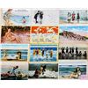 Image 2 : Bathing Beauties - Pin Ups Approx. 100 Cards