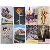 Image 1 : Misc. Topic Box 350+ Postcards