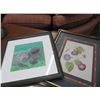 Image 2 : Framed Hummingbird, Flower & Manatee Prints (3)