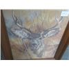 Image 3 : Framed Deer & Alphabet Prints (2)