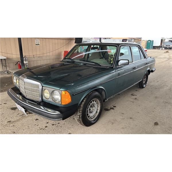 1982	Mercedes-Benz	300-Class