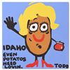 Image 2 : Idaho by Goldman Original