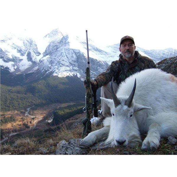 BC Mountain Goat Hunt