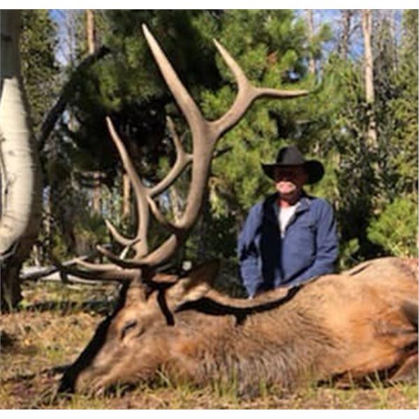 Wyoming Bull Elk Hunt