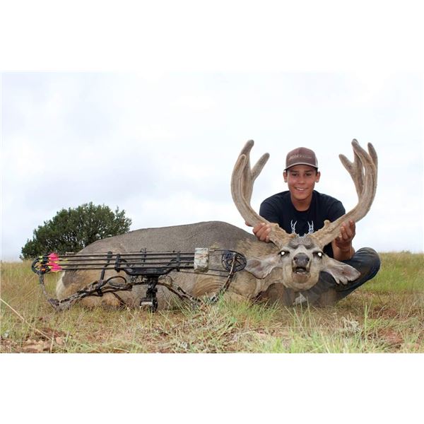 Arizona Rifle Mule Deer Hunt