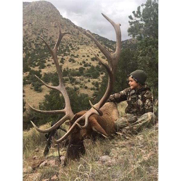 New Mexico Guided Trophy Bull Elk Hunt
