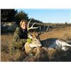 Image 3 : Nebraska Whitetail Hunt