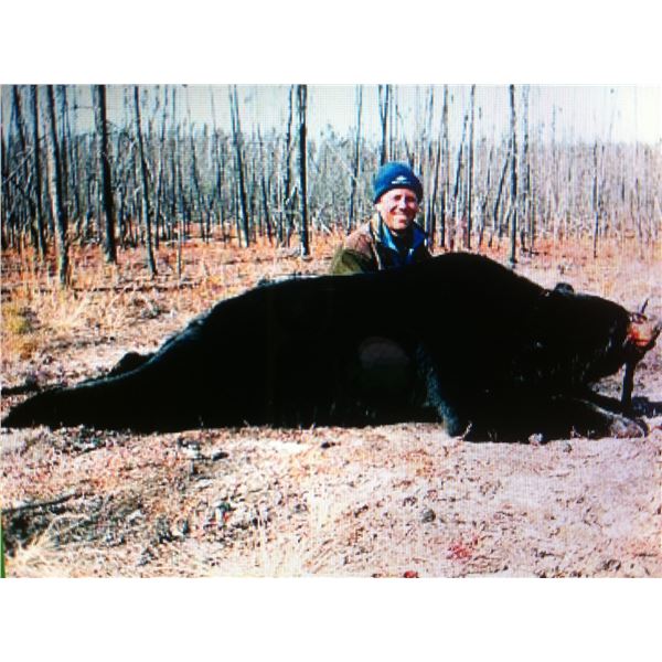 Utah Spring or Fall Bear Hunt