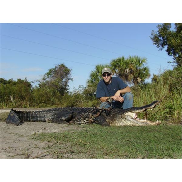 Florida Gator Hunt