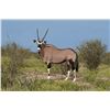 Image 2 : N.Cape Plains Game Hunt & Kruger National Park Safari Combo