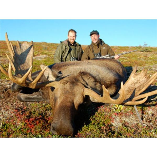 Alaska Moose DIY Hunt For 2