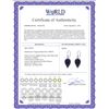 Image 2 : Genuine 25.8 ctw Sapphire Earrings 14KT White Gold - REF-25N6R