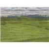 Image 1 : Charles Mitchell Canadian [b. 1947]EARLY MOUNTAIN SNOWoil on canvas18 x 24 in. (45.7 x 61 cm)signed 