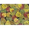 Image 1 : Peggy Bagshaw Canadian [20th/21st century]AUTUMN LEAVESpastel on suede matboard30 x 40 in. (76.2 x 1