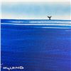 Image 3 : Fluke by Wyland Original