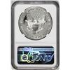 Image 2 : 1993-P $1 Proof American Silver Eagle Coin NGC PF69 Ultra Cameo