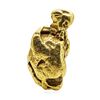 Image 2 : 21.52 Gram Gold Nugget