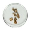 Image 1 : Gold Nuggets 1.83 Grams Total Weight