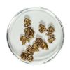 Image 1 : Gold Nuggets 4.41 Grams Total Weight