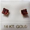 Image 1 : JP892-118 14K  GARNET(0.8CT) EARRINGS