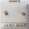 Image 1 : JP892-106 14K  FRESHWATER PEARL EARRINGS
