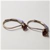 Image 1 : JP892-120 SILVER GARNET EARRINGS