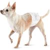 Image 1 : BOX OF 50 AMAZON BASICS MALE DOG WRAPS / DIAPERS