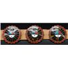 Image 3 : ZUNI INDIAN CONCHO BELT