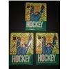 Image 1 : 1990-91 O-PEE-CHEE NHL wax packs (3)