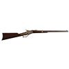 Image 1 : Starr Arms Model 1865 SRC .52 Rimfire