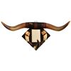 Image 1 : Cowboy Horn Mirror