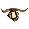 Image 2 : Cowboy Horn Mirror
