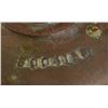 Image 2 : Locomotive Brass Bell