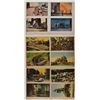 Image 1 : 1906 San Francisco Earthquake Postcard Scenes