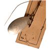 Image 3 : Antique Fishing Tackle Displays