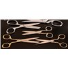 Image 2 : Collection of Scissors