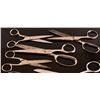 Image 3 : Collection of Scissors