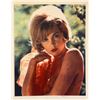Image 1 : Stella Stevens signed photo