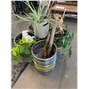 Image 2 : Group of 4 keg planters & cactus planter