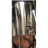 Image 3 : NSI Newlands - 10,000 Litres Fermentation Tank (Unitank) - Model:UT-100H Replacement Value: $45,000 