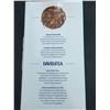 Image 3 : Davids Tea Organic Cinnamon Rooibos Chai (3 x 15 sachets)