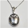 Image 1 : Silver Necklace (~Size 0) (~length 0 inches), Suggested Retail Value $60