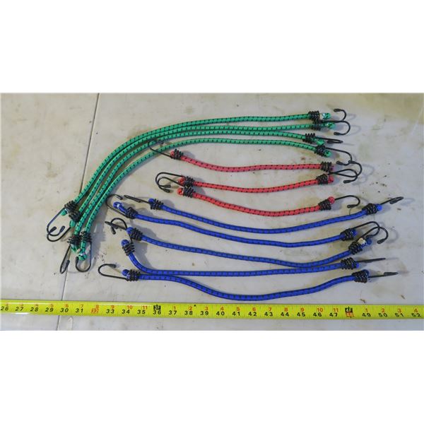 12 Bungee Cords
